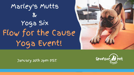 Flow for the Cause with Marley's Mutts and Yoga Six